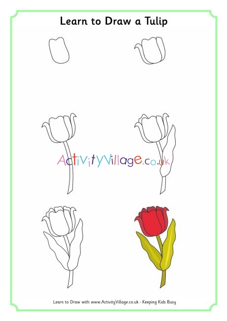 Learn to draw a tulip