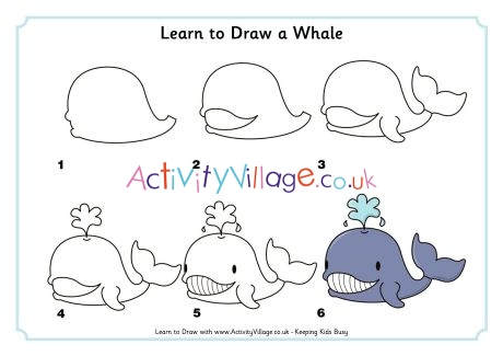 Step By Step How To Draw A Whale Easy - Goimages Lab