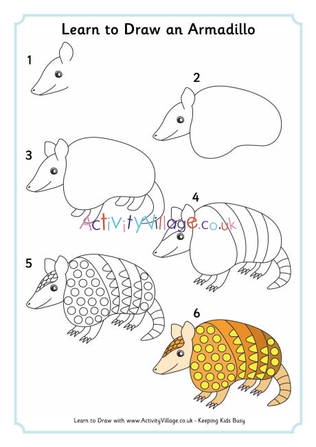 Learn To Draw An Armadillo