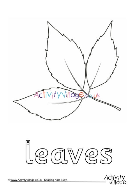 Leaves finger tracing