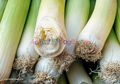 Leek poster 2