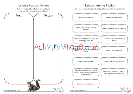 Lemur Fact vs Fiction