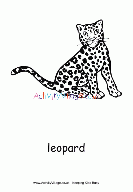 Leopard colouring page