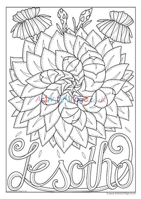 Lesotho national flower colouring page