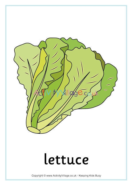 Lettuce Poster