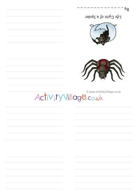 Life Cycle Of A Spider Booklet