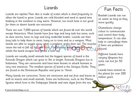 Lizard Fact Sheet