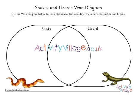 Lizards and Snakes Venn Diagram 