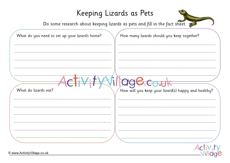 Lizards as Pets Worksheet