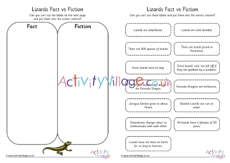 Lizards Fact vs Fiction 