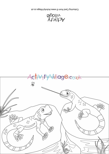 Lizards Scene Colouring Card