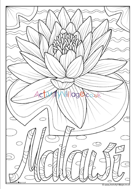 Malawi national flower colouring page