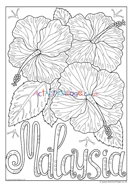 Malaysia national flower colouring page