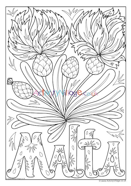 Malta national flower colouring page