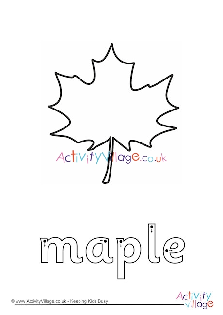 Maple Finger Tracing