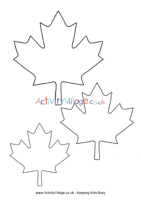 Maple leaf template