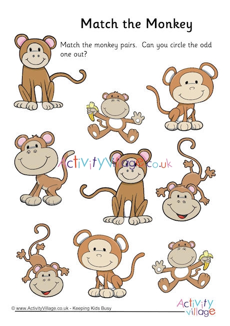 Match the monkey puzzle