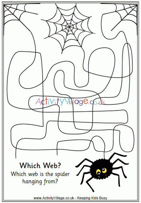 Maze spider web