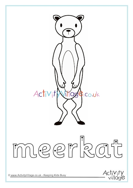 Meerkat Finger Tracing