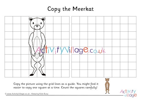 Meerkat Grid Copy