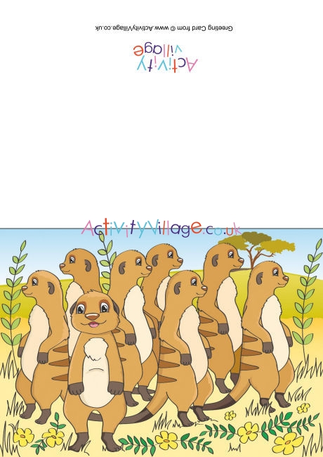 Meerkats Scene Card