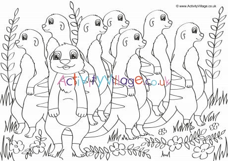 Meerkats Scene Colouring Page