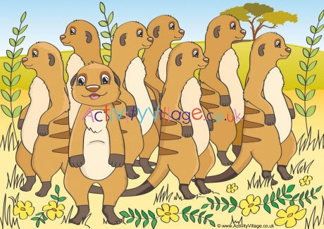 Meerkats Scene Poster