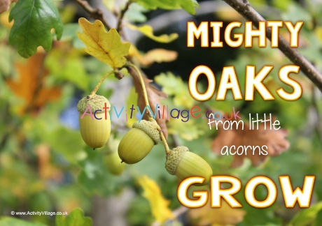 Mighty oaks poster