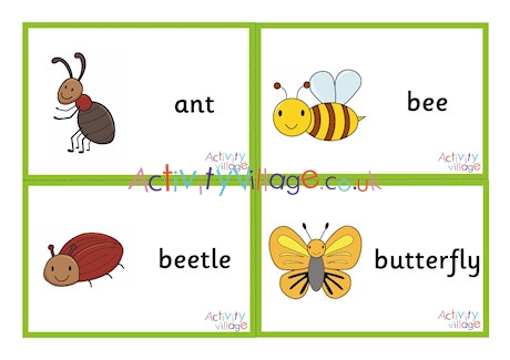 Minibeast Flashcards - Small