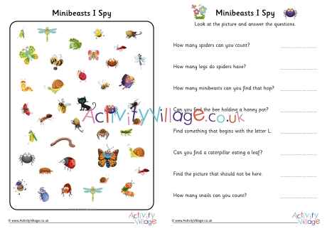 Minibeasts I spy US