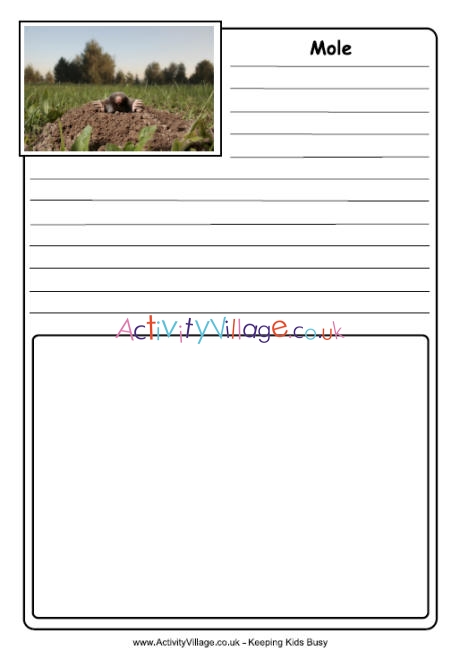 Mole notebooking page