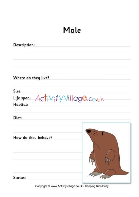 Mole worksheet