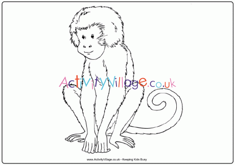 Monkey colouring page 2