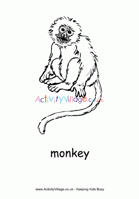 Monkey colouring page
