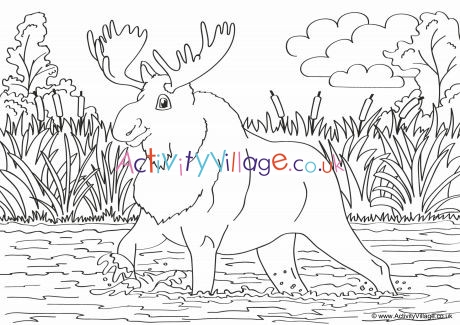 Moose Scene Colouring Page