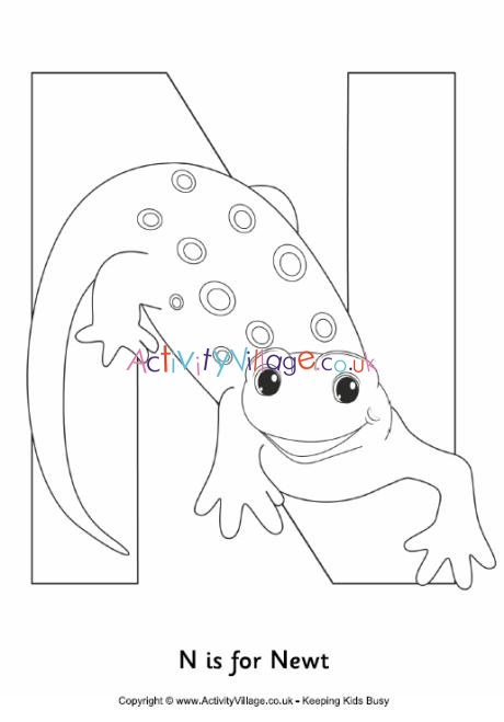 N is for newt colouring page