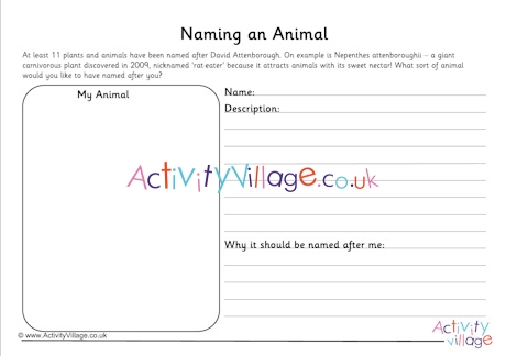 Naming an animal worksheet