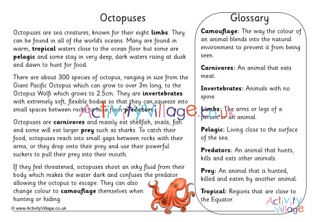 Octopus Fact Sheet