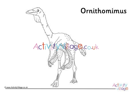 Ornithomimus Colouring Page