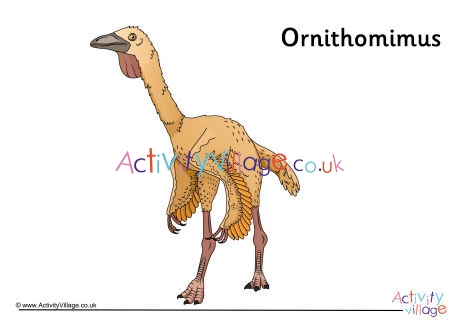 Ornithomimus Poster