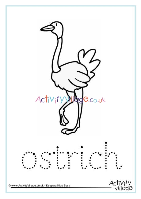 Ostrich Word Tracing