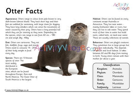Otter fact poster