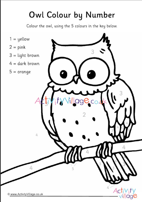 Owl Colour by Number