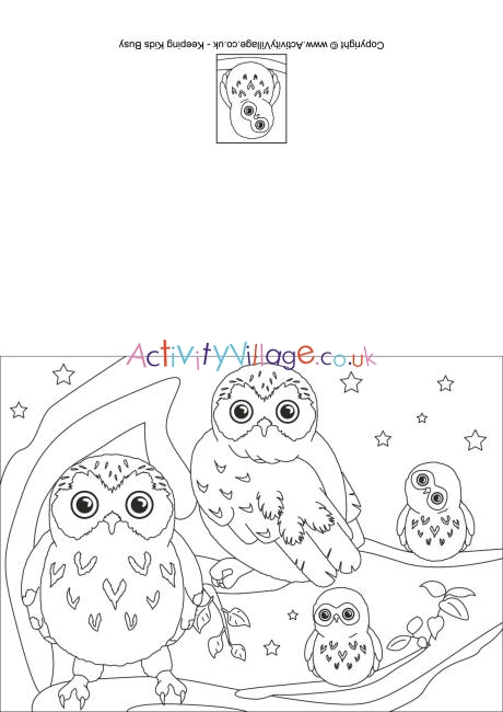 Owl colouring card