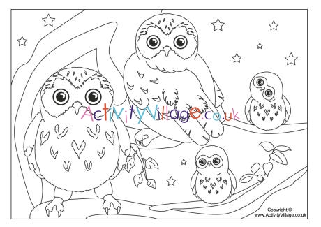 Owl colouring page 3