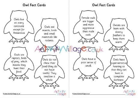 Owl Fact Shape Cards
