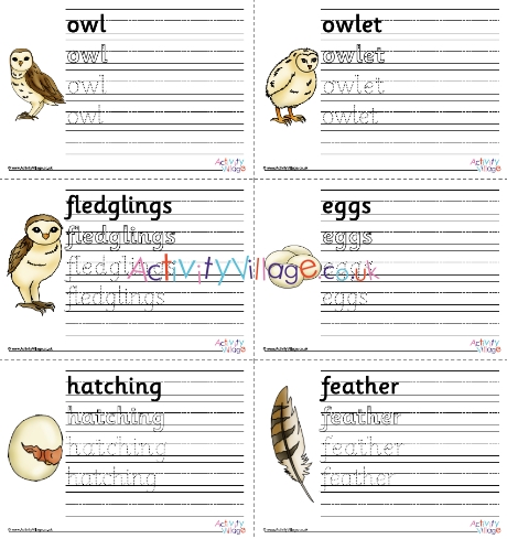 Owl Life Cycle Handwriting Worksheets