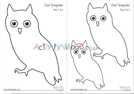 Owl template