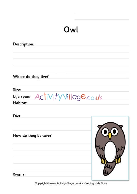 Owl worksheet