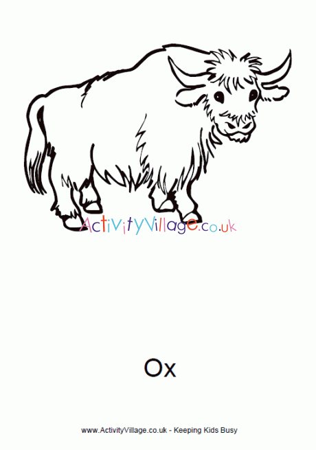Ox colouring page 2